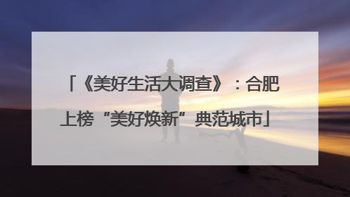 《美好生活大调查》：合肥上榜“美好焕新”典范城市