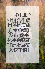 《中非产业链合作项目落地实施方案总纲》发布 数字化平台赋能非洲发展驶入快车道