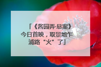《酱园弄·悬案》今日首映，取景地乍浦路“火”了