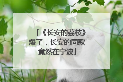 《长安的荔枝》爆了，长安的同款竟然在宁波