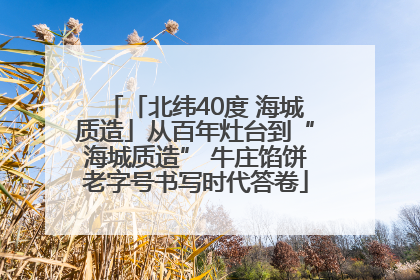 「北纬40度 海城质造」从百年灶台到“海城质造” 牛庄馅饼老字号书写时代答卷