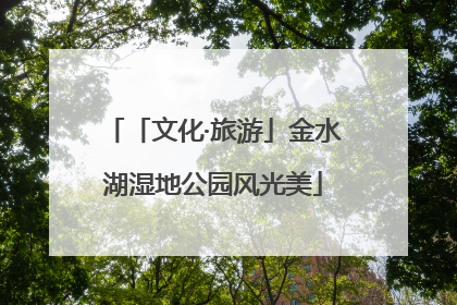 「文化·旅游」金水湖湿地公园风光美