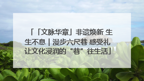 「文脉华章」非遗焕新 生生不息｜漫步六尺巷 感受礼让文化浸润的“巷”往生活