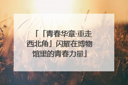 「青春华章·重走西北角」闪耀在博物馆里的青春力量