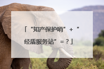 “知产保护哨”+“经盾服务站”=？