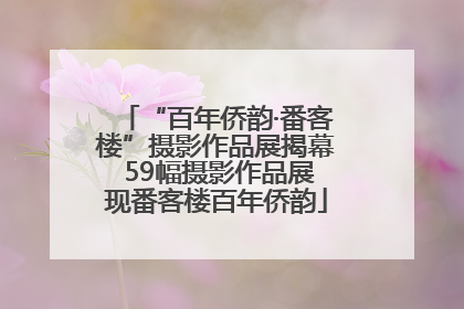 “百年侨韵·番客楼”摄影作品展揭幕 59幅摄影作品展现番客楼百年侨韵