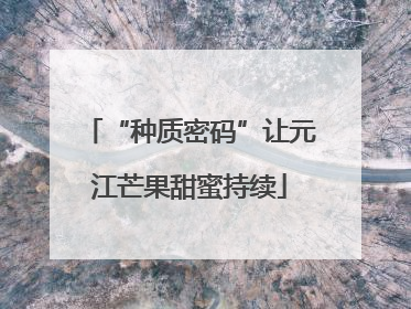 “种质密码”让元江芒果甜蜜持续