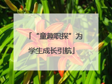 “童趣职探”为学生成长引航
