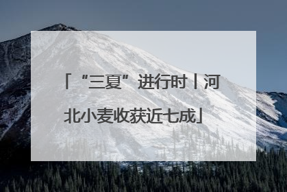 “三夏”进行时丨河北小麦收获近七成