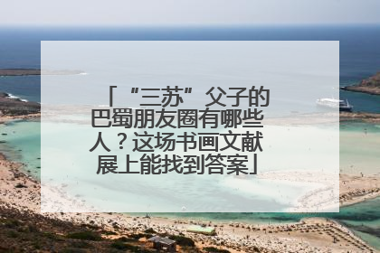 “三苏”父子的巴蜀朋友圈有哪些人？这场书画文献展上能找到答案
