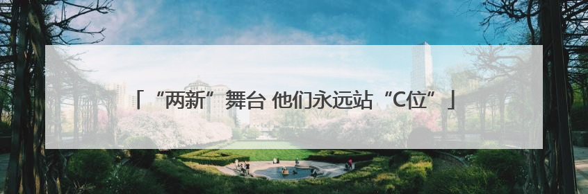“两新”舞台 他们永远站“C位”