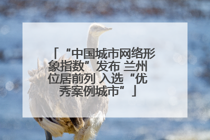 “中国城市网络形象指数”发布 兰州位居前列 入选“优秀案例城市”