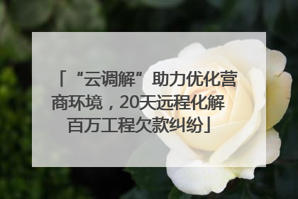 “云调解”助力优化营商环境，20天远程化解百万工程欠款纠纷