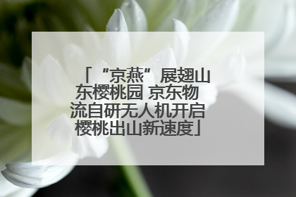 “京燕”展翅山东樱桃园 京东物流自研无人机开启樱桃出山新速度