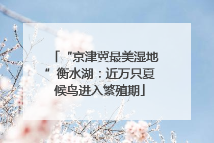 “京津冀最美湿地”衡水湖：近万只夏候鸟进入繁殖期