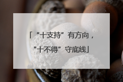 “十支持”有方向，“十不得”守底线