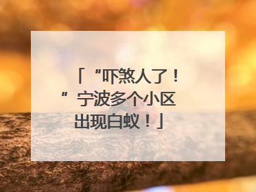 “吓煞人了！”宁波多个小区出现白蚁！