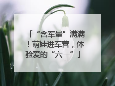 “含军量”满满！萌娃进军营，体验爱的“六一”