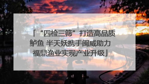 “四检三筛”打造高品质鲈鱼 半天妖携手闽威助力福鼎渔业实现产业升级