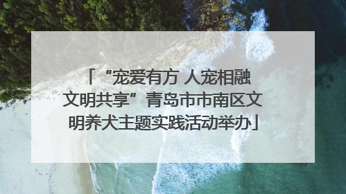“宠爱有方 人宠相融 文明共享”青岛市市南区文明养犬主题实践活动举办