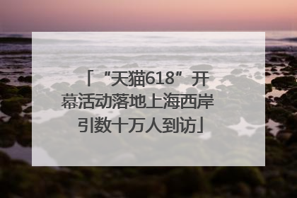 “天猫618”开幕活动落地上海西岸 引数十万人到访