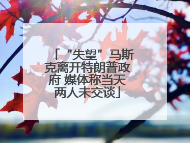 “失望”马斯克离开特朗普政府 媒体称当天两人未交谈