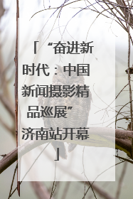 “奋进新时代：中国新闻摄影精品巡展” 济南站开幕