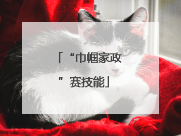“巾帼家政”赛技能