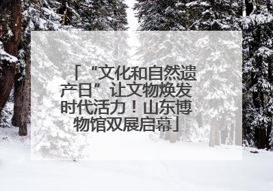 “文化和自然遗产日”让文物焕发时代活力！山东博物馆双展启幕