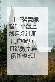 “智慧熊猫”平台上线月余注册用户破万 打造数字连侨新模式