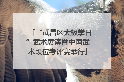 “武昌区太极拳日”武术展演暨中国武术段位考评赛举行