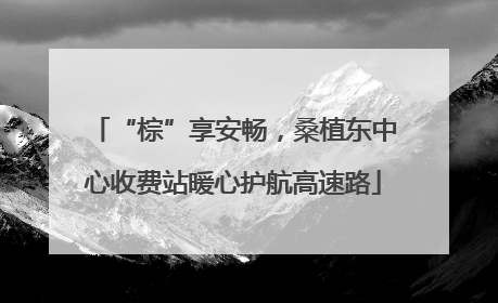 “棕”享安畅，桑植东中心收费站暖心护航高速路