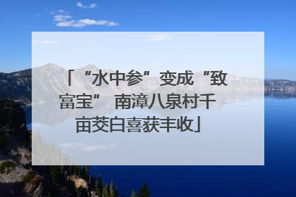 “水中参”变成“致富宝” 南漳八泉村千亩茭白喜获丰收