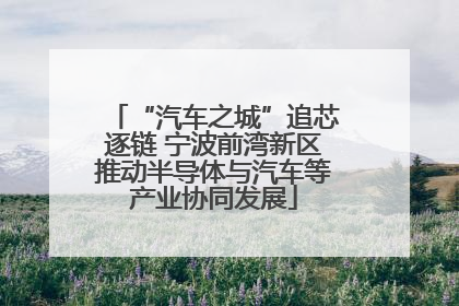 “汽车之城”追芯逐链 宁波前湾新区推动半导体与汽车等产业协同发展