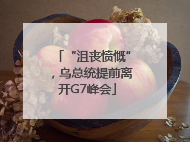 “沮丧愤慨”，乌总统提前离开G7峰会