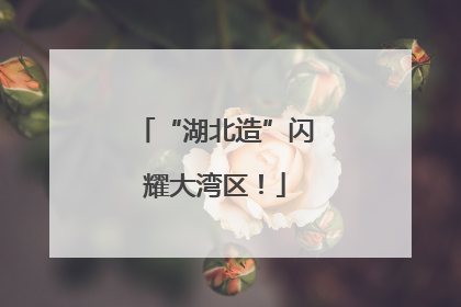“湖北造”闪耀大湾区！