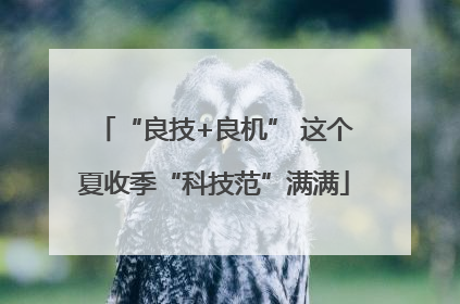“良技+良机” 这个夏收季“科技范”满满