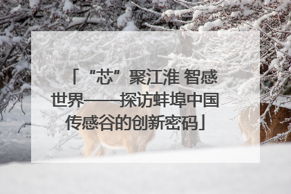 “芯”聚江淮 智感世界——探访蚌埠中国传感谷的创新密码