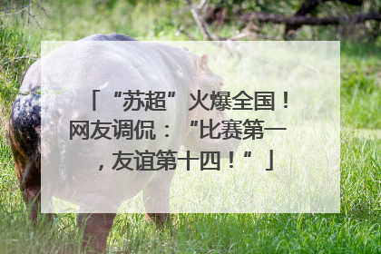 “苏超”火爆全国！网友调侃：“比赛第一，友谊第十四！”