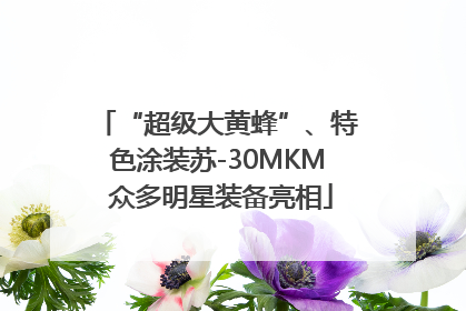 “超级大黄蜂”、特色涂装苏-30MKM 众多明星装备亮相