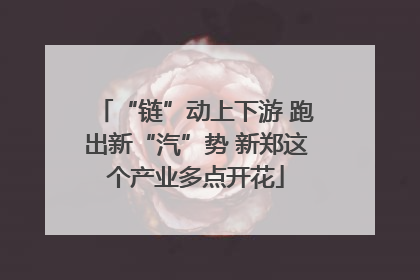 “链”动上下游 跑出新“汽”势 新郑这个产业多点开花