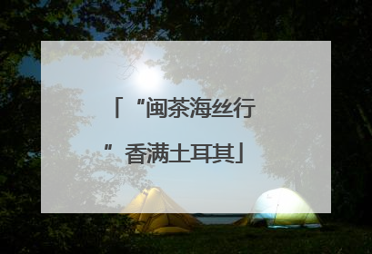“闽茶海丝行”香满土耳其