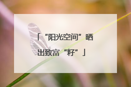 “阳光空间”晒出致富“籽”