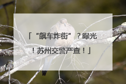 “飙车炸街”？曝光！苏州交警严查！