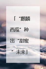 “麒麟西瓜”种出“甜蜜”未来
