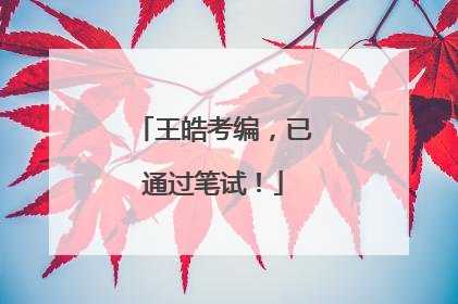 王皓考编，已通过笔试！