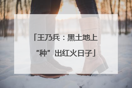 王乃兵：黑土地上“种”出红火日子