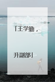王学勤，升副部