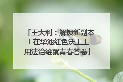 王大利：解锁新副本！在华池红色沃土上 用法治绘就青春答卷