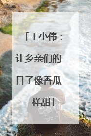 王小伟：让乡亲们的日子像香瓜一样甜